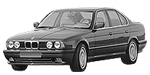 BMW E34 P2995 Fault Code